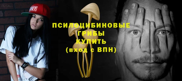 твердый Медвежьегорск