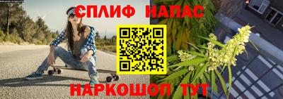 PSILOCYBIN Заволжье