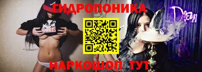 PSILOCYBIN Заволжье