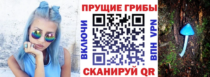 kraken как зайти  что такое наркотик  Подольск  Галлюциногенные грибы мицелий 
