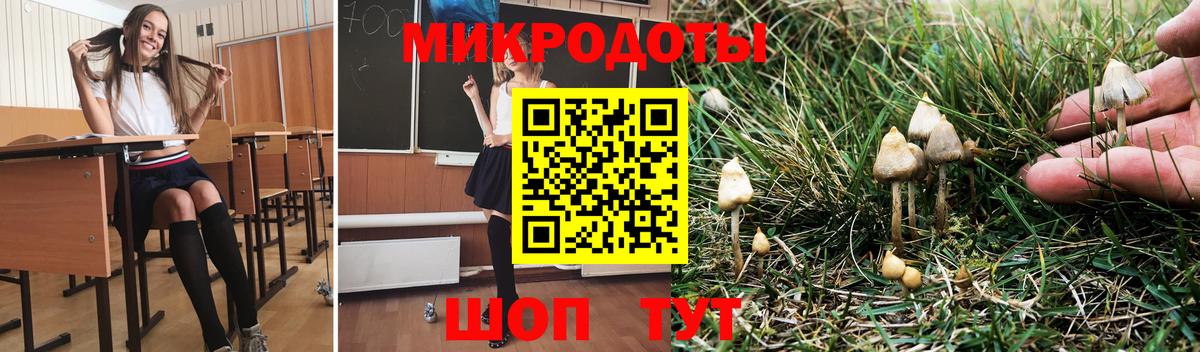 Галлюциногенные грибы мицелий  Вход с VPN  Подольск 